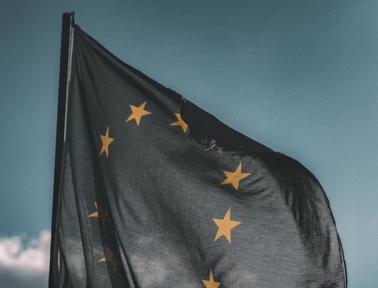 Winkler salută includerea drepturilor fundamentale și a solidarității între prioritățile președinției germane a UE Winkler salută includerea drepturilor fundamentale și a solidarității între prioritățile președinției germane a UE