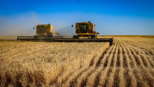 Sprijin pentru sectorul agroalimentar: 300 milioane euro pentru microgranturi și granturi pentru capital de lucru Sprijin pentru sectorul agroalimentar: 300 milioane euro pentru microgranturi și granturi pentru capital de lucru